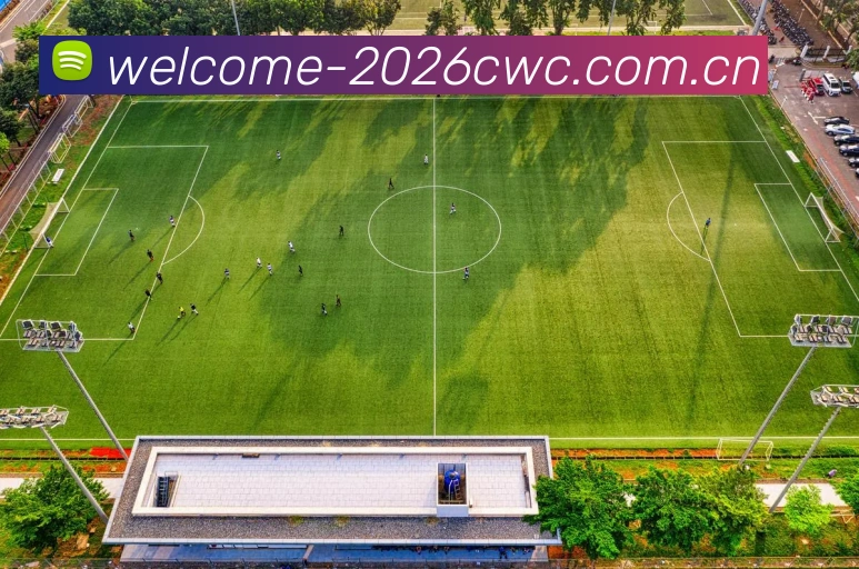 2026世界杯数据服务生态